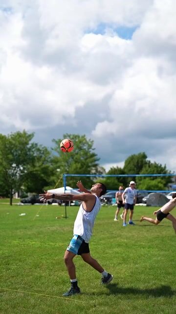 lpo-bell-pepper(63)-1.MP4