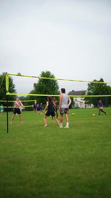 lpo-bell-pepper(24).MP4