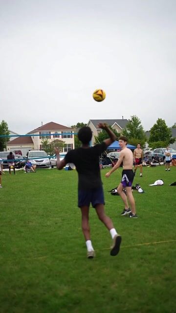 lpo-bell-pepper(4).MP4