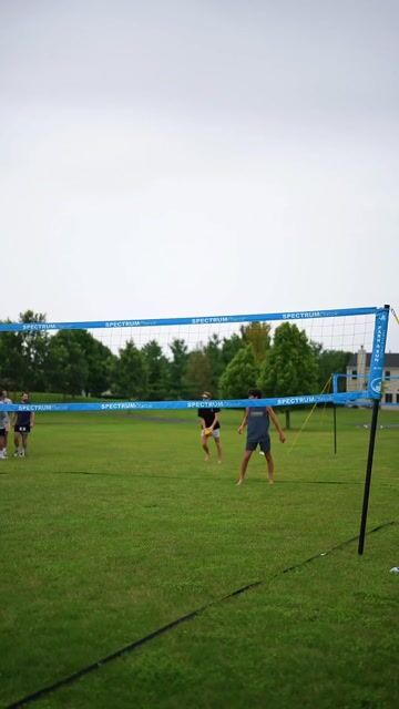 lpo-bell-pepper(8).MP4