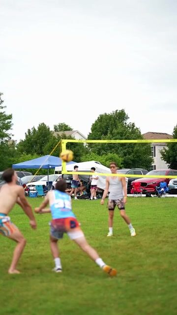 lpo-bell-pepper(31).MP4