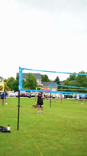 lpo-bell-pepper(29).MP4